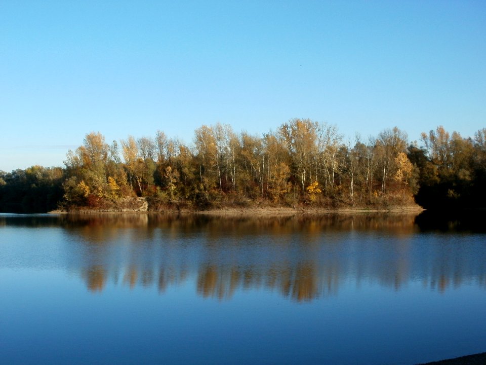 20111026Bruehl-Rohrhof17