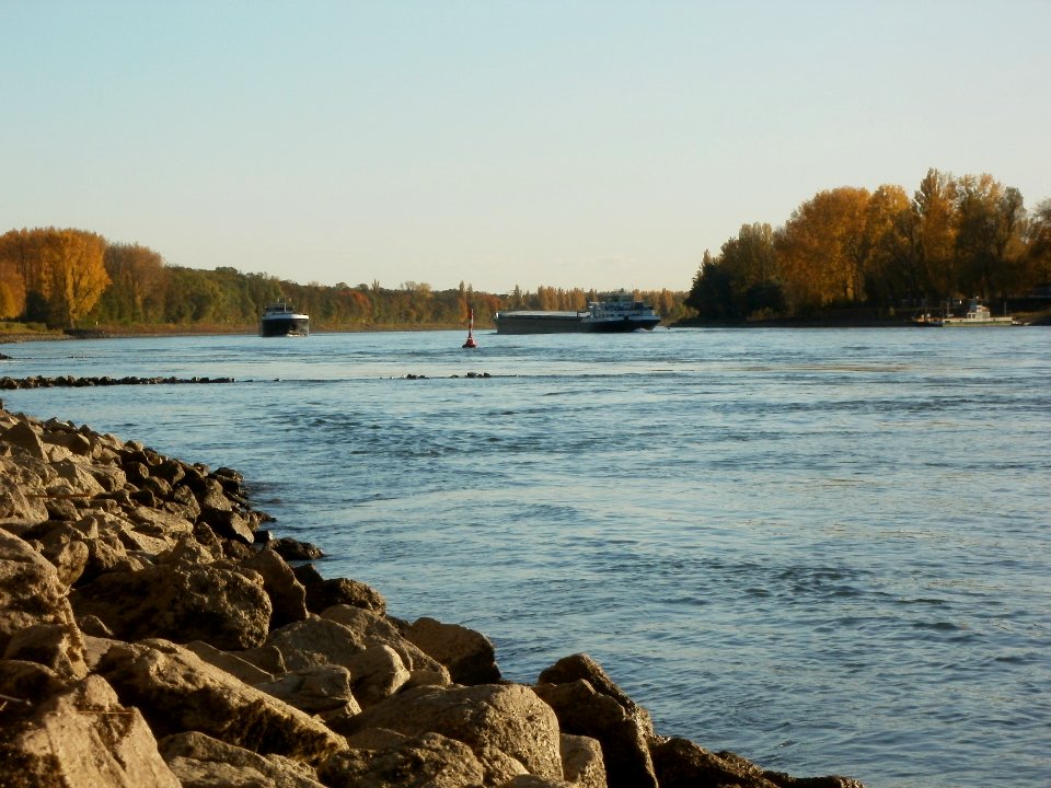 20111026Rhein_Bruehl2