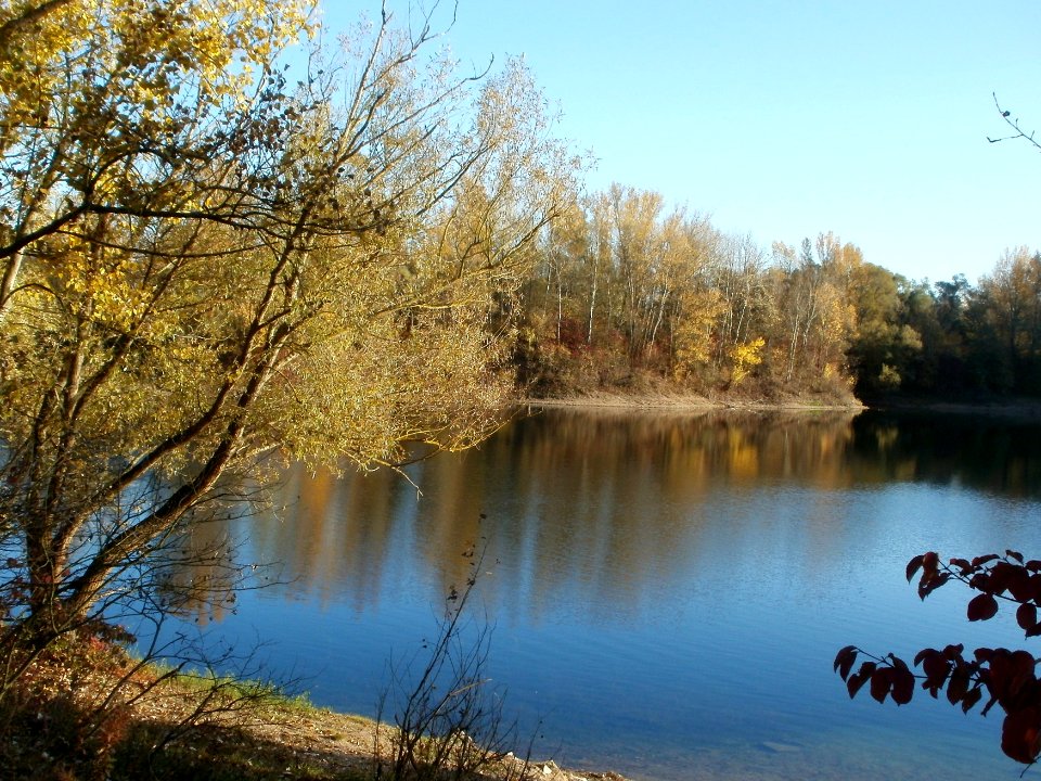 20111026Bruehl-Rohrhof14