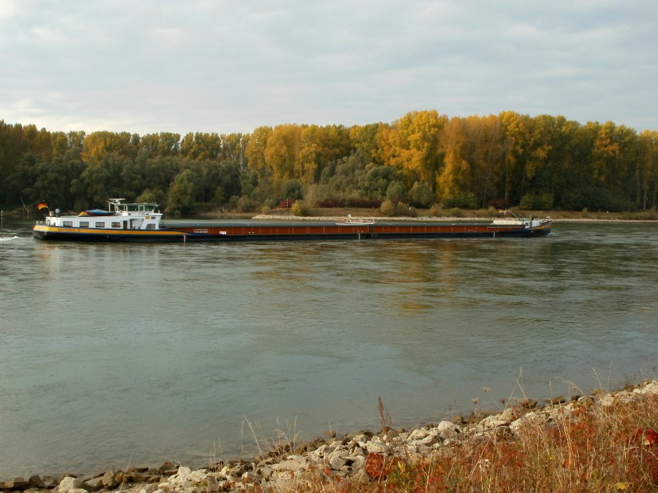 20111024Rhein_Rheinsheim2