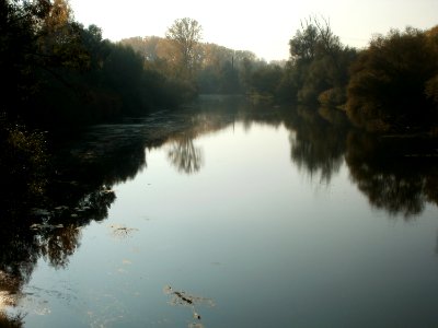 20111023Philippsburger_Altrhein2