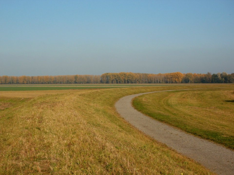 20111023Rheinschanzinsel1
