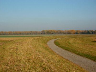 20111023Rheinschanzinsel1