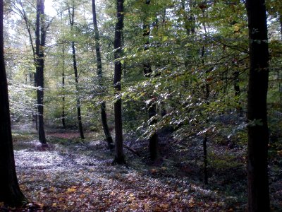 20111024Schanzen_Philippsburg4