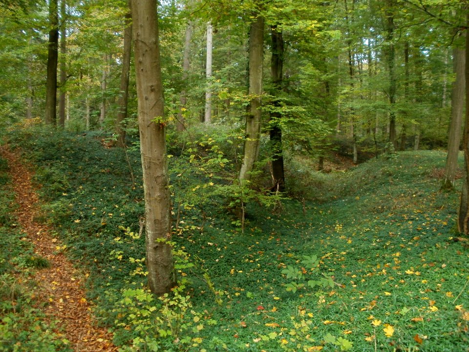 20111024Schanzen_Philippsburg2