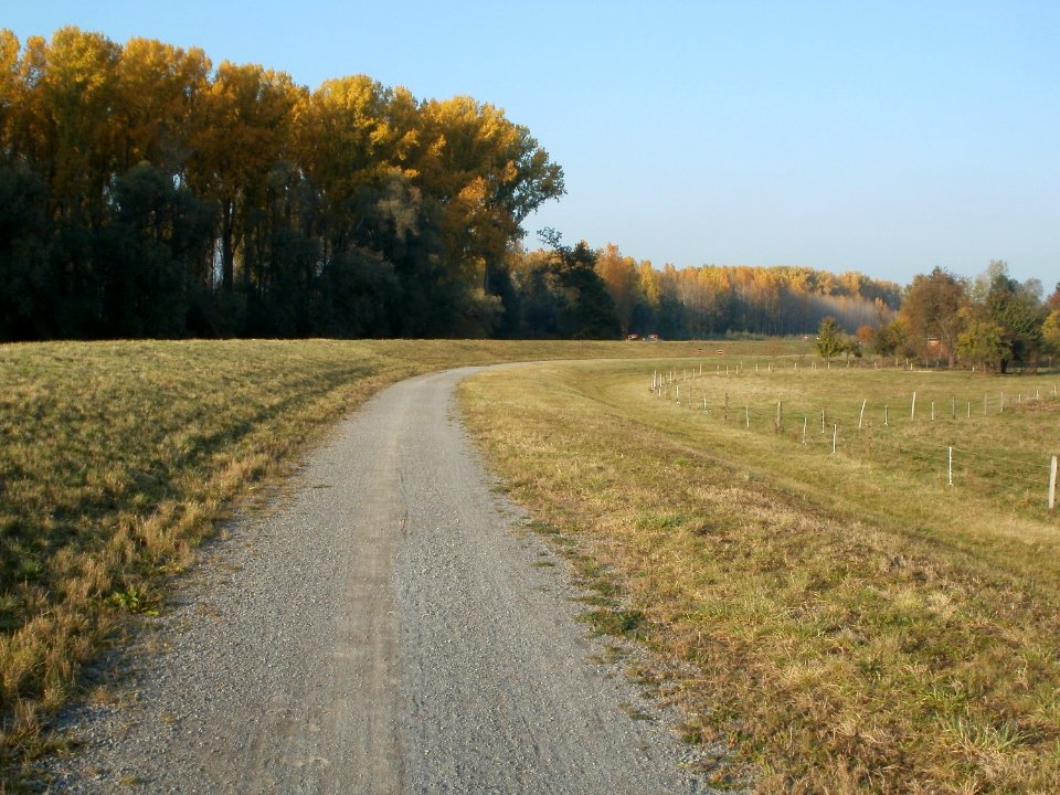 20111023Rheinauenwald_Rheinhausen-Oberhausen2