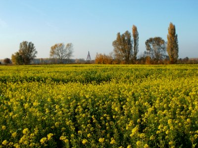 20111031Kotlachgraben_Hockenheim1