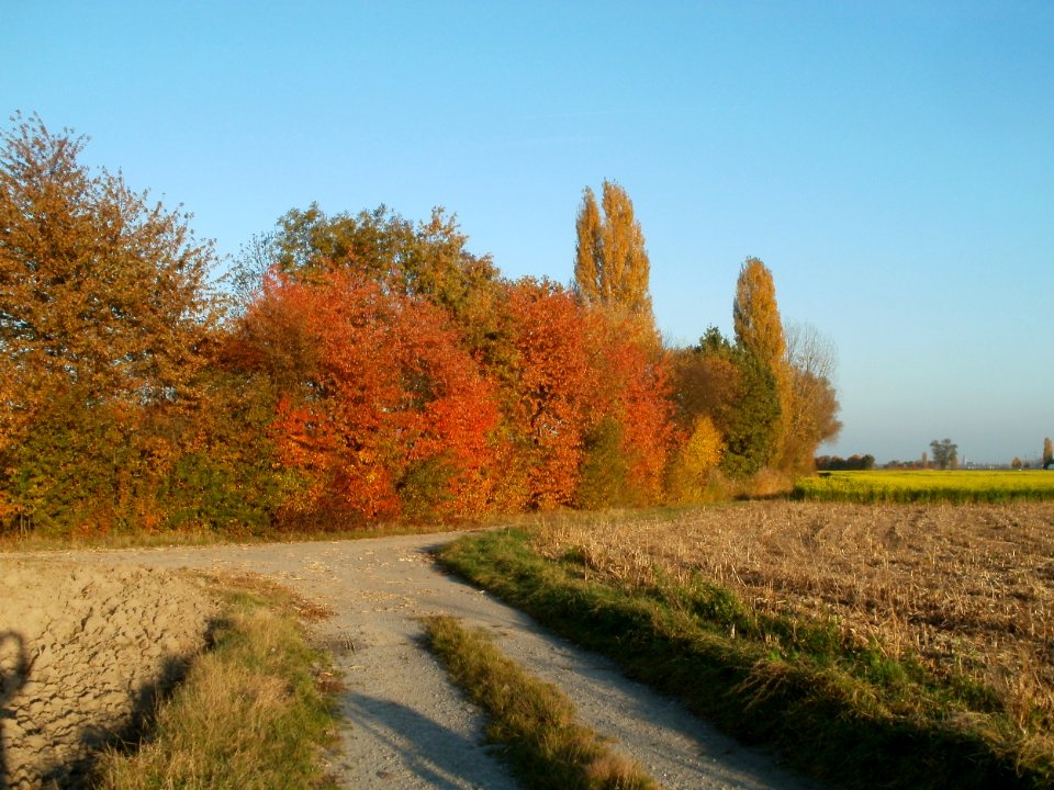 20111031Kotlachgraben_Hockenheim14