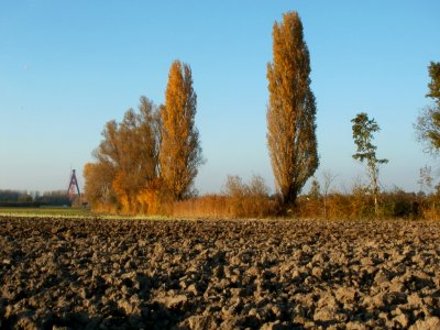 20111031Kotlachgraben_Hockenheim11