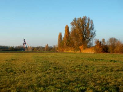 20111031Kotlachgraben_Hockenheim16