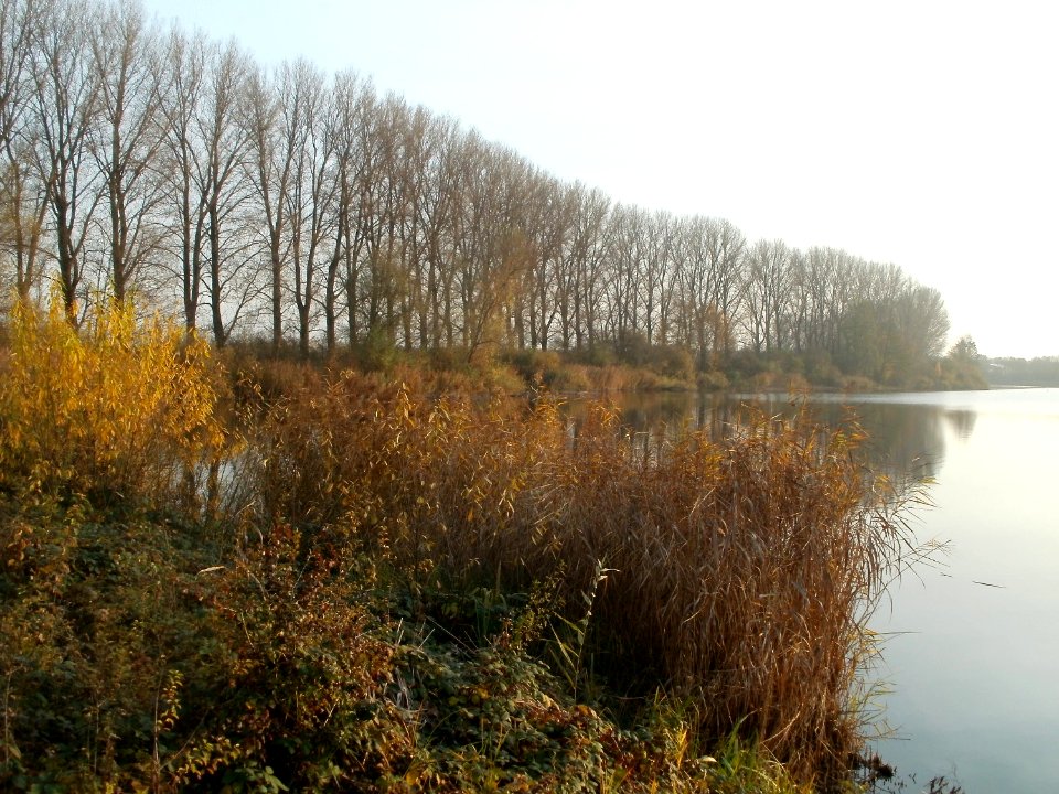 20111124Reilinger_See2