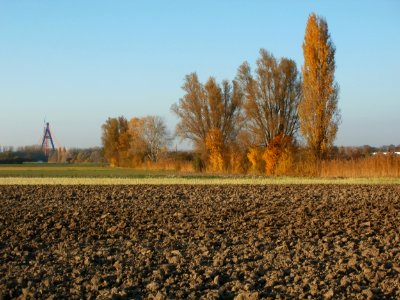 20111031Kotlachgraben_Hockenheim12