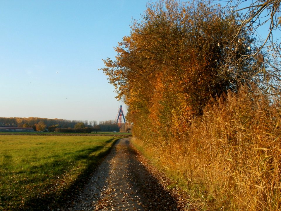 20111031Kotlachgraben_Hockenheim15