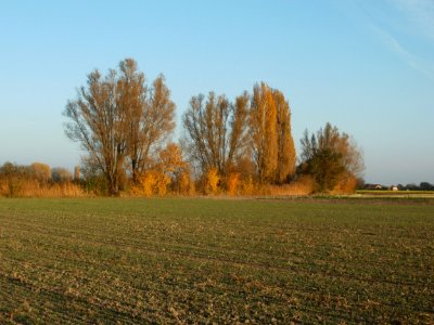 20111031Kotlachgraben_Hockenheim17