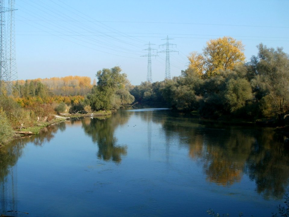 20111023Philippsburger_Altrhein1