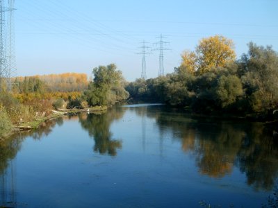 20111023Philippsburger_Altrhein1