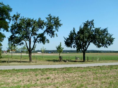 20110801Streuobst_Walldorf
