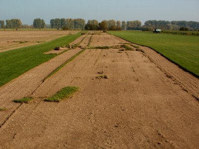 20111023Rasenfeld_Reilingen1