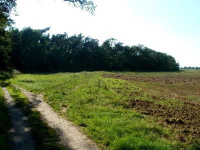 20110801Sandhausen_Duenen24