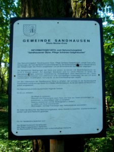 20110801Sandhausen_Duenen25