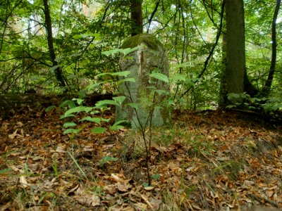 20110731Reilinger_Eck09