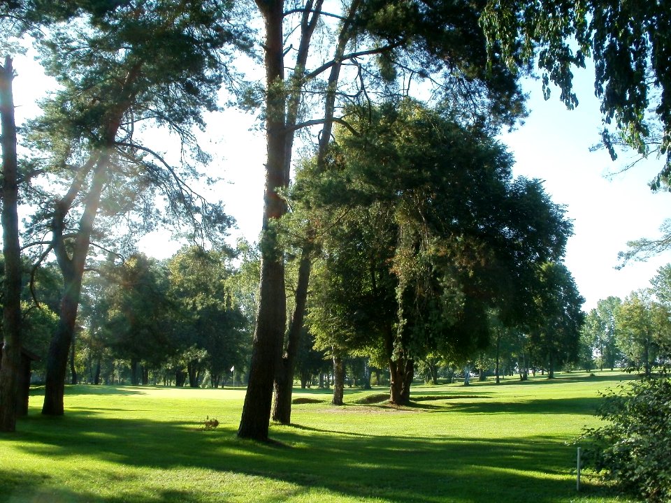 20110801Golfclub_Oftersheim2