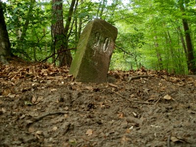 20110731Reilinger_Eck35