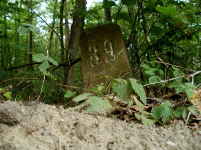20110731Reilinger_Eck59