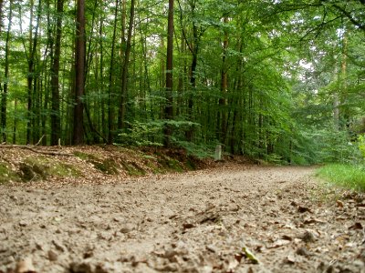 20110731Reilinger_Eck22