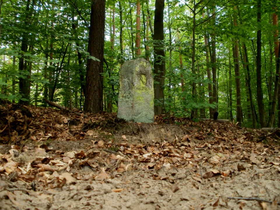 20110731Reilinger_Eck20