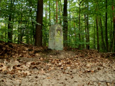 20110731Reilinger_Eck20