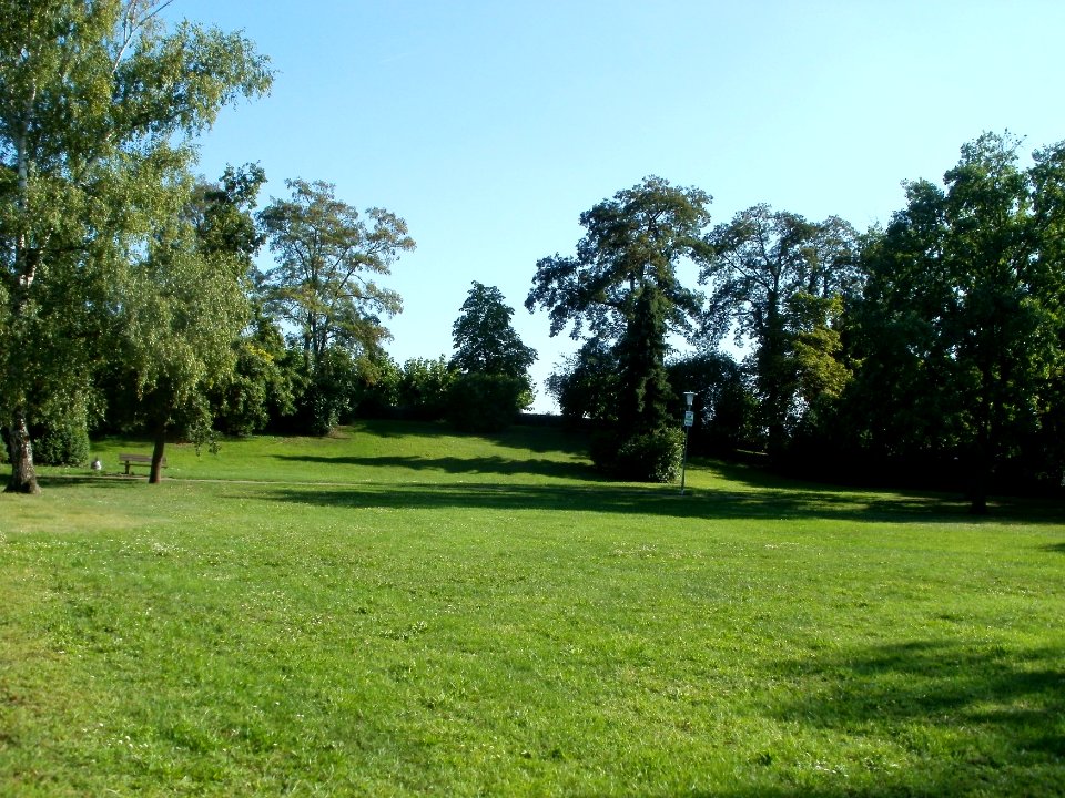 20110801Friedhof_Sandhausen1