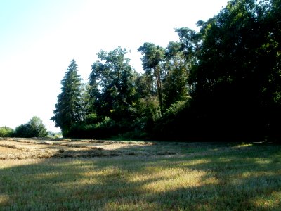 20110801Sandhausen_Duenen01