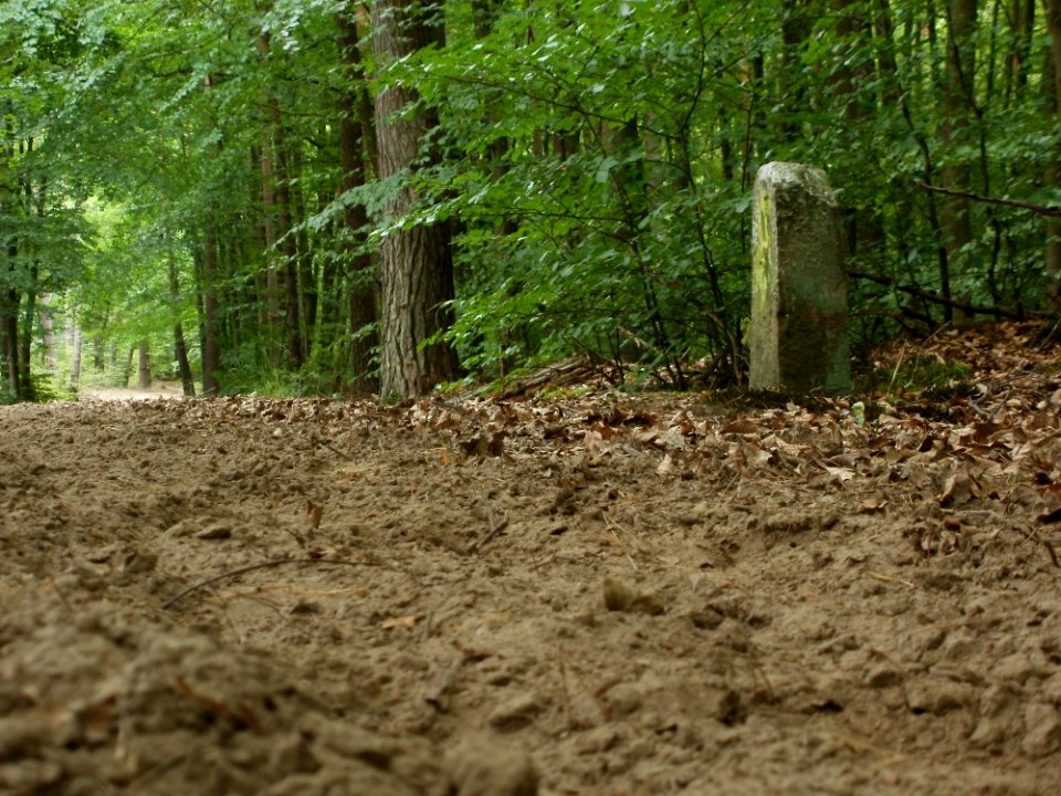 20110731Reilinger_Eck23