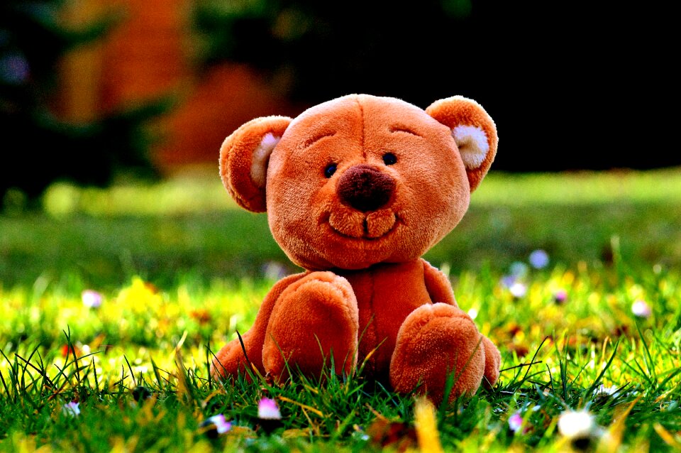 Teddy bear out child
