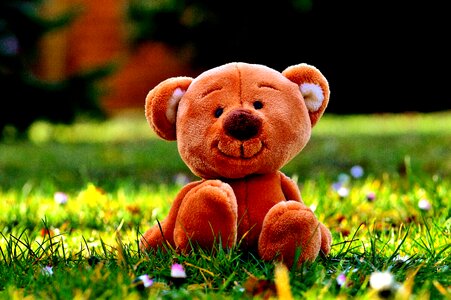 Teddy bear out child photo