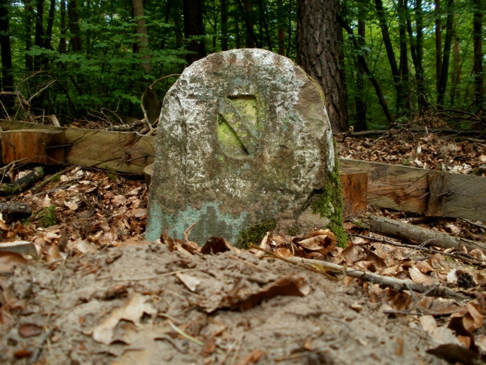 20110731Reilinger_Eck32