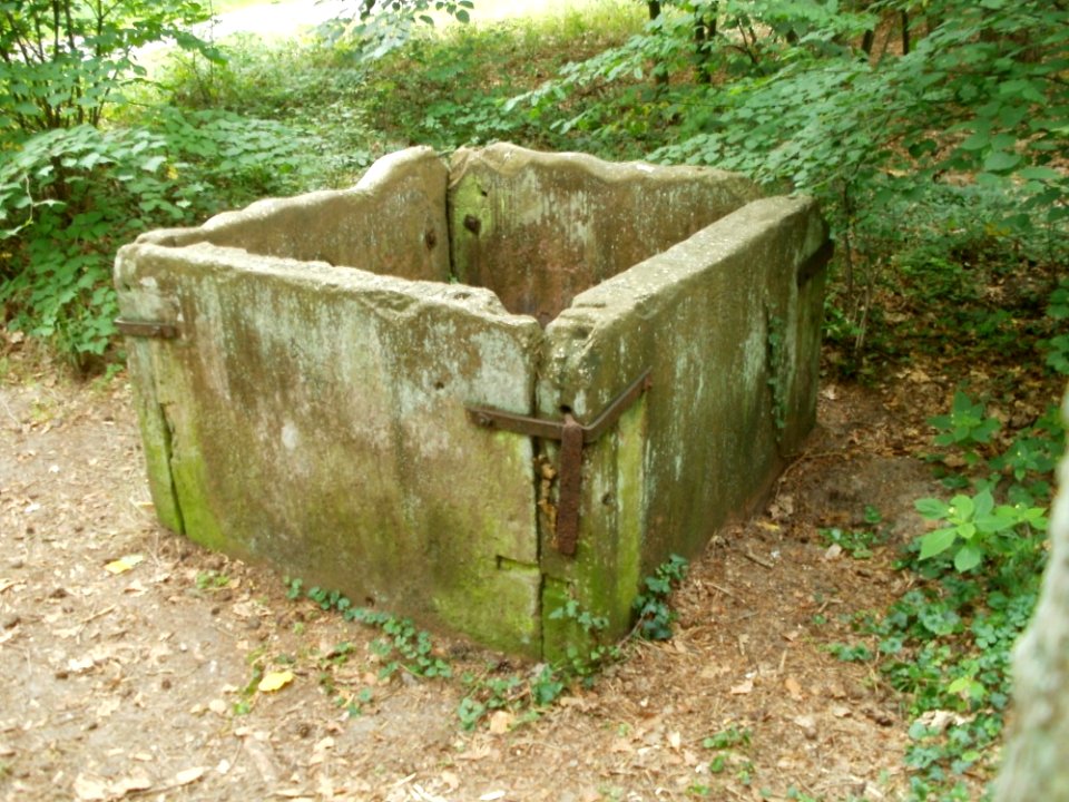 20110729Brunnen_Speyerer_Weg1
