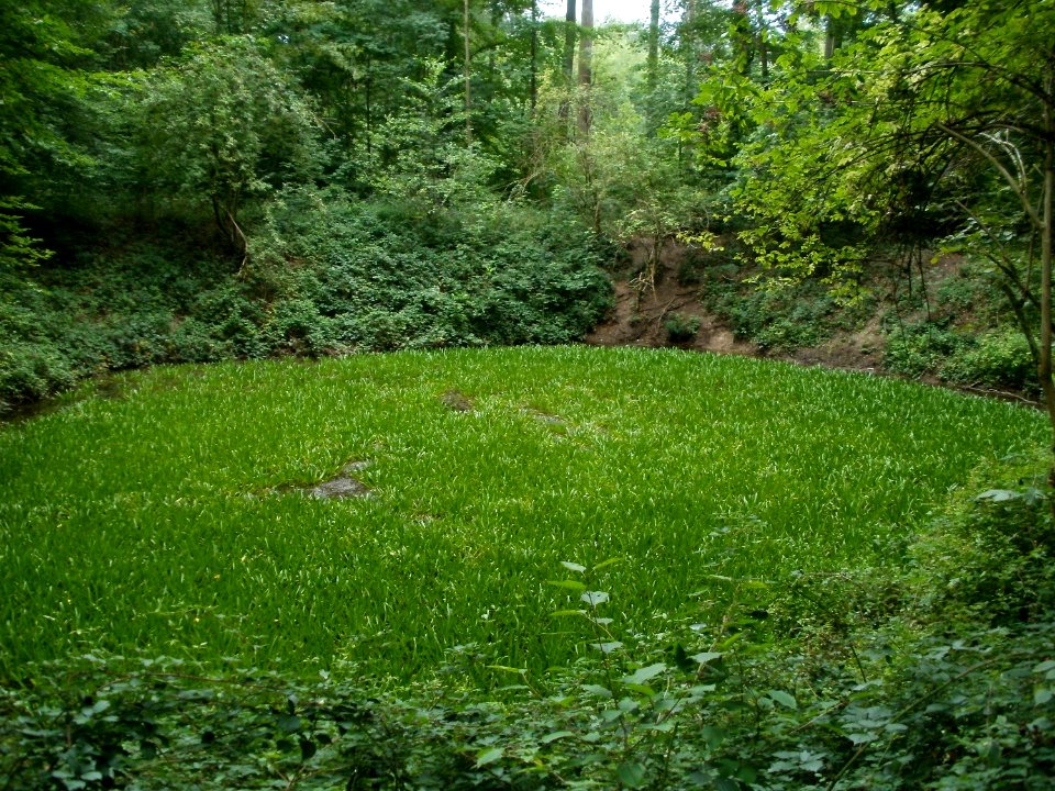 20110731Reilinger_Eck54