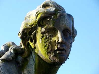 20111106Schlossgarten_Schwetzingen09