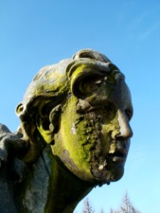 20111106Schlossgarten_Schwetzingen08