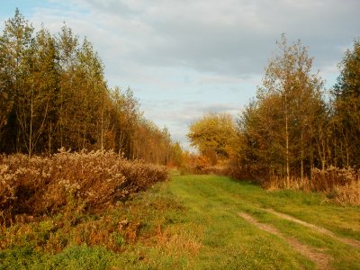 20111102Schwarzes_Teich13