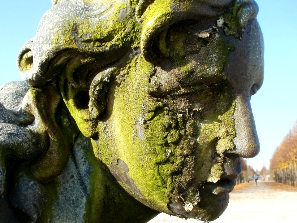 20111106Schlossgarten_Schwetzingen11