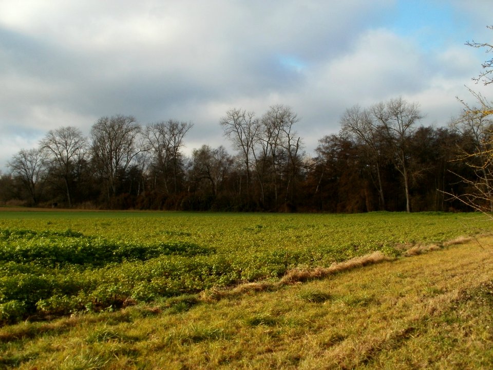 20111127Marlach