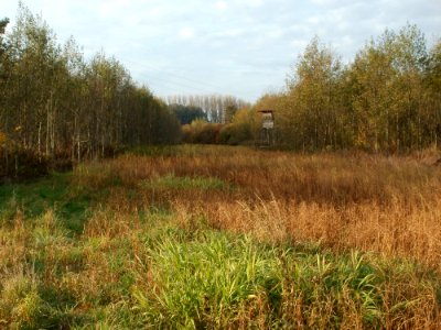 20111102Schwarzes_Teich06
