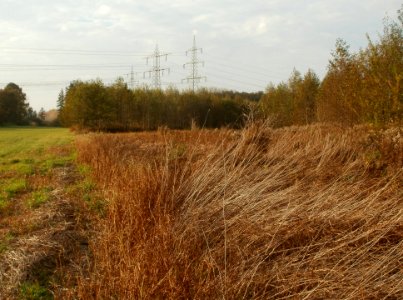 20111102Schwarzes_Teich08