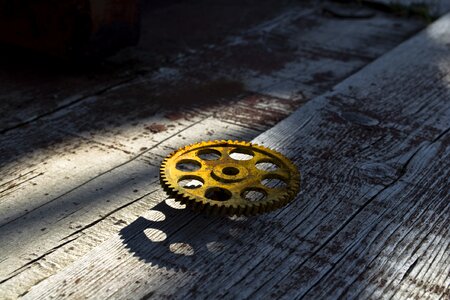 Tree old cogwheel