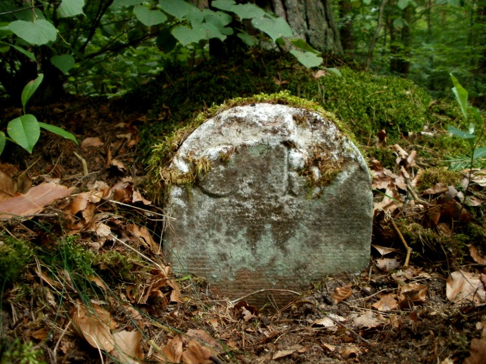 20110731Reilinger_Eck46
