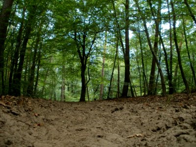 20110731Reilinger_Eck40