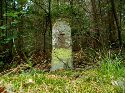 20110731Reilinger_Eck44